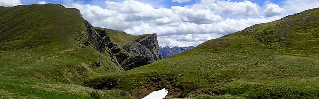 都市神醫葉辰很囂張_第346章 我要的東西！（四更！）