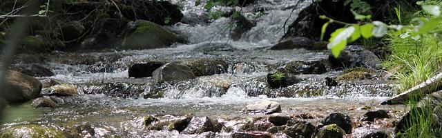 上門龍婿葉辰蕭初然_第2721章 見面的契機