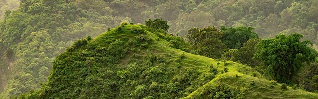 上門龍婿葉辰蕭初然_第3320章 我想回美國！