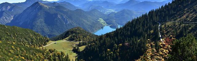 都市神醫葉辰很囂張_第12303章 血龍下落！