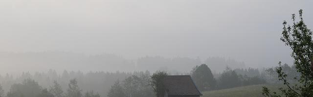 都市神醫葉辰很囂張_第92章 深深的恐懼！（求推薦票！）