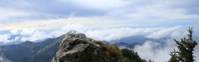 上門龍婿葉辰蕭初然_第184章 我才是唯一的真龍！
