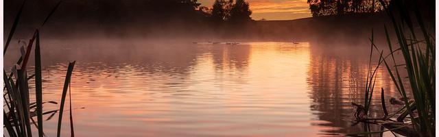 上門龍婿葉辰蕭初然_第2888章 今晚就走