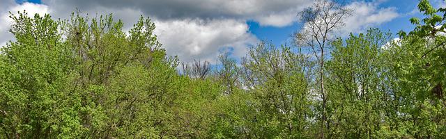 上門龍婿葉辰蕭初然_第117章 破陣！