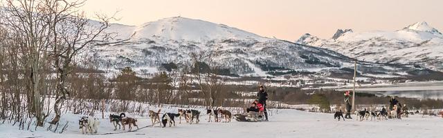 上門龍婿葉辰蕭初然_第2381章 兇相畢露