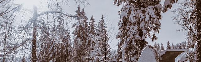上門龍婿葉辰蕭初然_第153章 表忠心