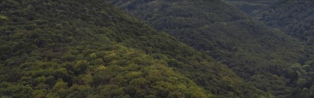 龍族：從只狼歸來的路明非繁體免費章節免費享，期待您的品鑒