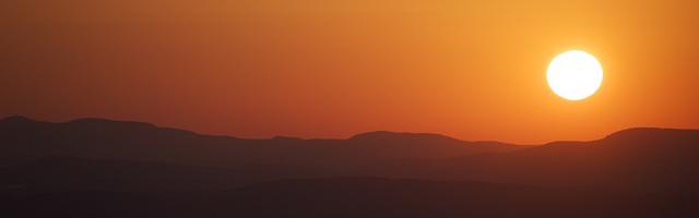 上門龍婿葉辰蕭初然_第35章 扮豬吃老虎