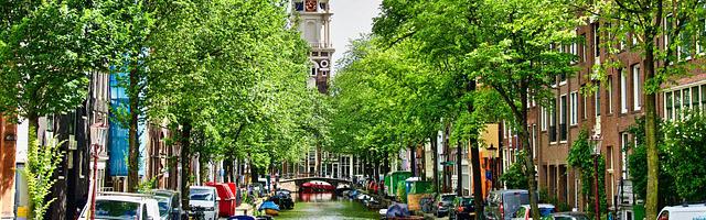 都市神醫葉辰很囂張_第308章 交易！（七更！求推薦票！）