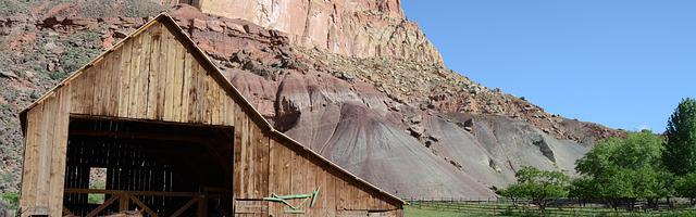 都市神醫葉辰很囂張_第272章 到底多強！（五更連發！求推薦票！）