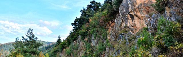 我真不想當皇上繁體免費章節免費享，期待您的品鑒