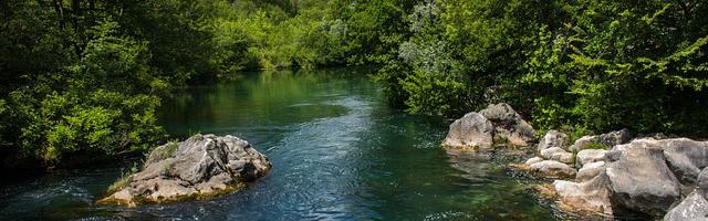 上門龍婿葉辰蕭初然_第2750章 怎么才能見到他？