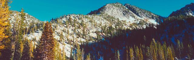 都市神醫葉辰很囂張_第19章 要見你！