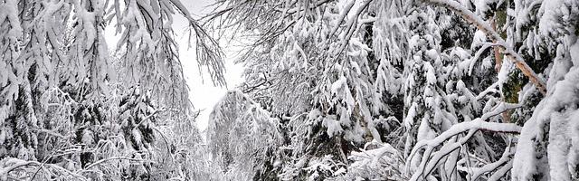 都市神醫葉辰很囂張_第127章 力保此人！（求推薦票！）