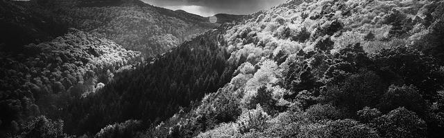 穿越斗破蒼穹繁體免費章節免費享，期待您的品鑒