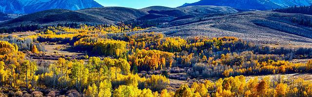 上門龍婿葉辰蕭初然_第130章 葉辰，葉大師