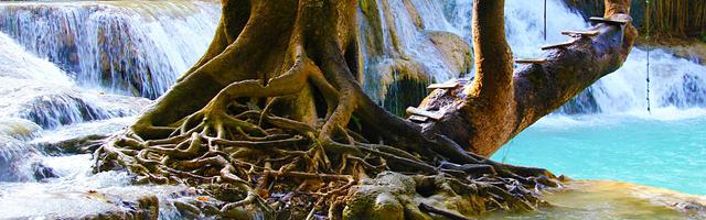 蟲族是怎樣煉成的繁體免費章節，邀您共賞