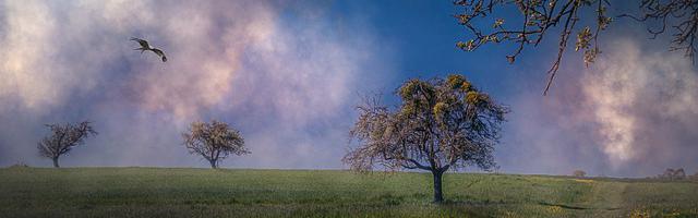 上門龍婿葉辰蕭初然_第3030章 葉辰害我！