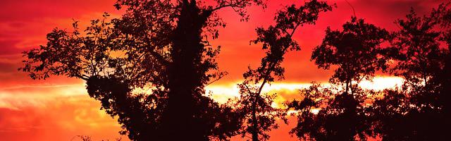 重回七零：學霸小富婆繁體免費章節，邀您共賞