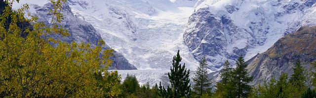 都市神醫葉辰很囂張_第97章 總算來了！（求推薦票！）