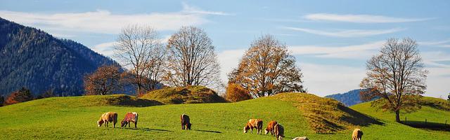惡毒女配她被迫磕cp繁體免費章節免費享，期待您的品鑒