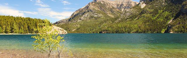 最強特種兵之戰狼繁體免費章節免費享，期待您的品鑒