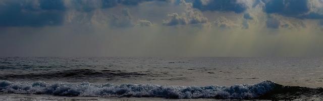 從敖丙開始的神級選擇繁體免費章節免費享，期待您的品鑒