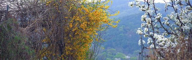 怪物獵人之無雙傳說繁體免費章節免費享，期待您的品鑒