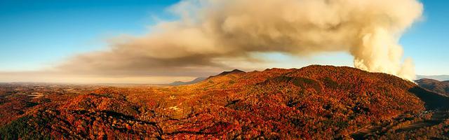 萌妻入懷：將軍，抱一抱繁體免費章節，邀您共賞