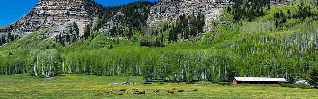 上門龍婿葉辰蕭初然_第3327章 不當也罷！