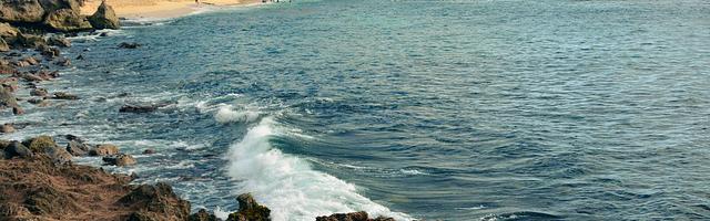 上門龍婿葉辰蕭初然_第3305章 如喪考妣