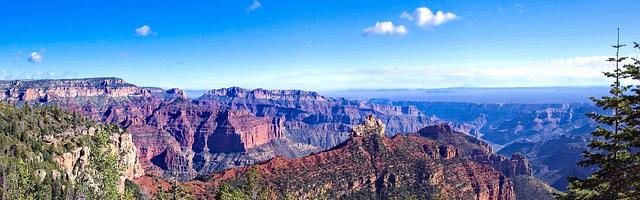 都市神醫葉辰很囂張_第12085章 封印