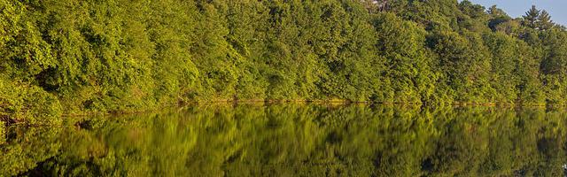 上門龍婿葉辰蕭初然_第169章 在葉大師面前班門弄斧