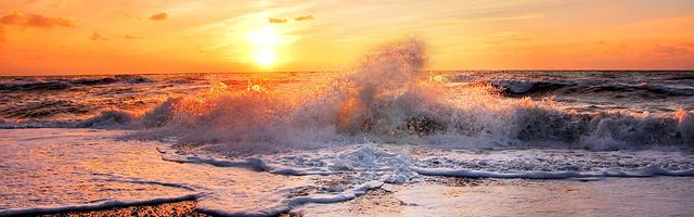 都市神醫葉辰很囂張_第169章 話語權！（三更連發，求推薦票！）