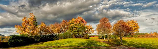 上門龍婿葉辰蕭初然_第60章 靈氣！
