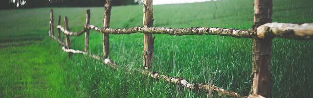 上門龍婿葉辰蕭初然_第266章 送去長白山