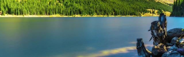 上門龍婿葉辰蕭初然_第3144章 不做第二人想