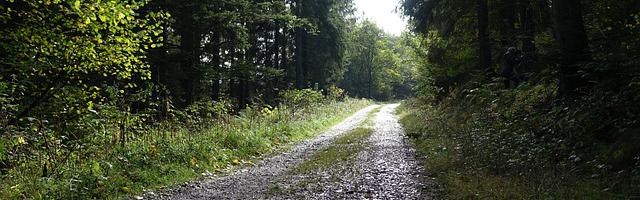 上門龍婿葉辰蕭初然_第3204章 增磚添瓦