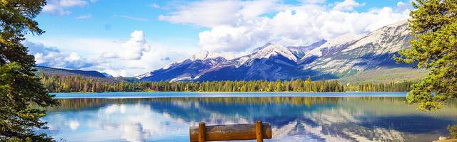 都市神醫葉辰很囂張_第12257章 殺機（三章合一）