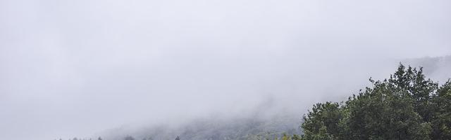 上門龍婿葉辰蕭初然_第3295章 比賽還是演唱會