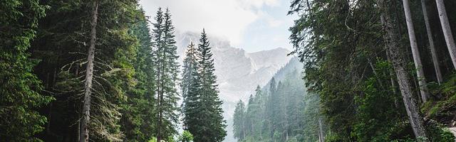 上門龍婿葉辰蕭初然_第3081章 很好的突破點