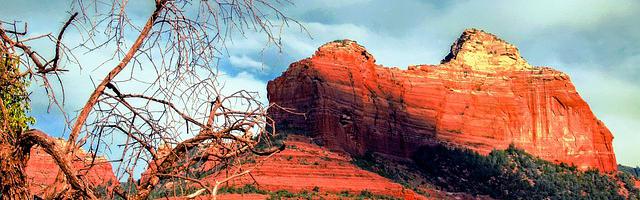 都市神醫葉辰很囂張_第 11947 章 本有器靈