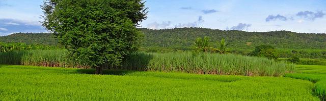 上門龍婿葉辰蕭初然_第82章 秦家的危機