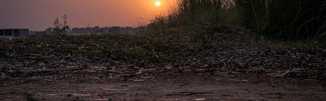 都市神醫葉辰很囂張_第12094章 螻蟻