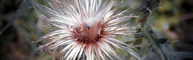 都市神醫葉辰很囂張_第12274章 你的劍（三章合一）