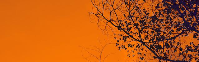 上門龍婿葉辰蕭初然_第369章 趕緊逃命去吧！