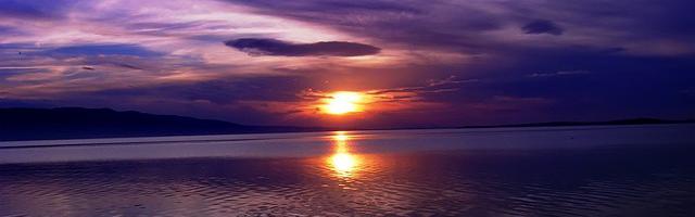 尸兄好腰繁體免費章節，邀您共賞