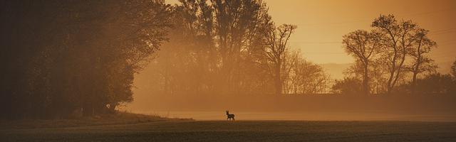 次元法典繁體免費章節免費享，期待您的品鑒