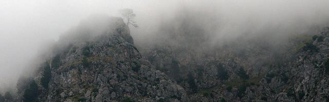 第一馭獸狂鳳：懶妃誅天繁體免費章節免費享，期待您的品鑒