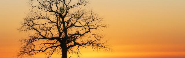 都市神醫葉辰很囂張_第 11853 章 來源和因果